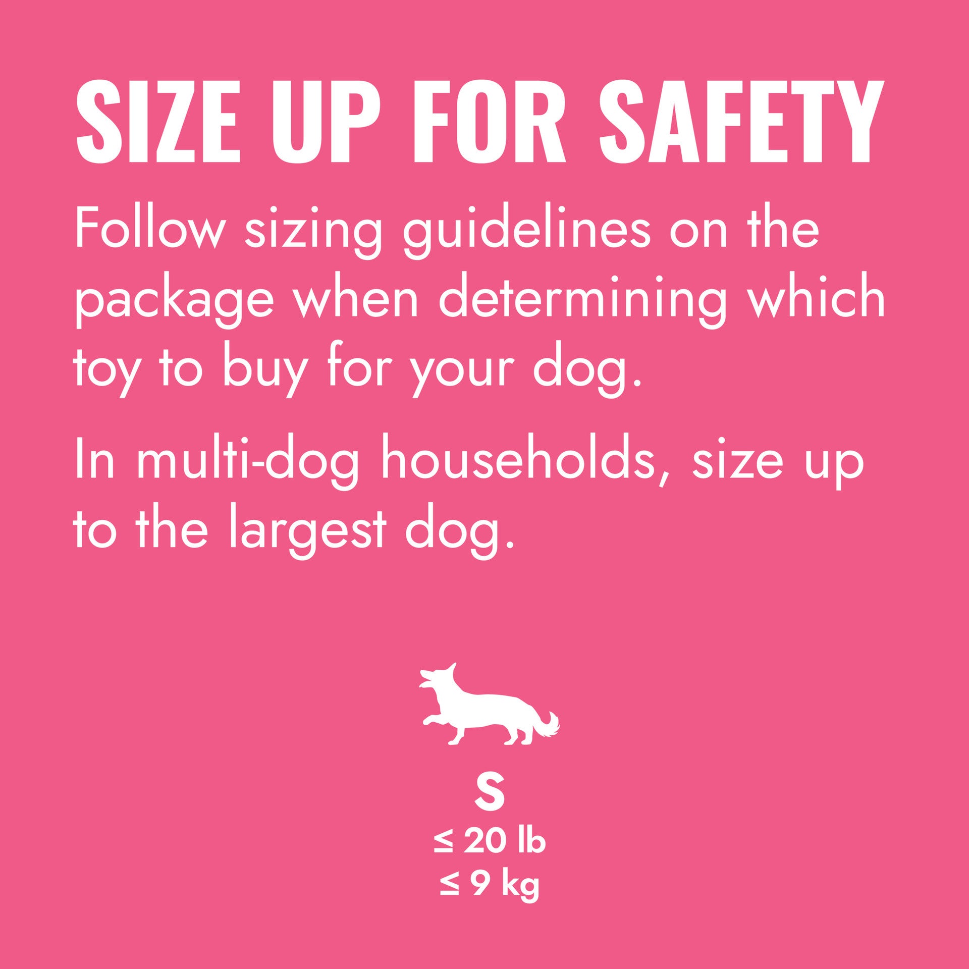 KONG Puppy Flyer, Pink