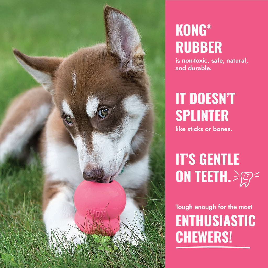 KONG Puppy Flyer, Pink